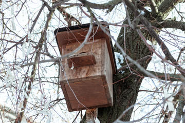 Empty wooden bird feeder on a tree in winter