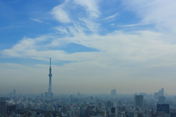 Fototapeta premium 東京の空２