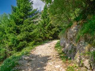 Road of 52 Tunnels Hiking Trail