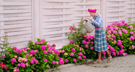 woman care of flowers in garden. hydrangea. Spring and summer. Flower care and watering. soils and fertilizers. happy woman gardener with flowers. Greenhouse flowers. Working in green environment