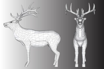 Deer vector