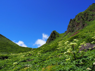 秋田駒ケ岳のムーミン谷　東北 山岳 谷