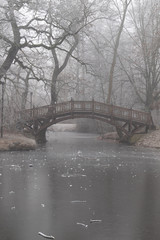 Zugefrorener Teich im Park mit Romantischen Brücken im Winter in Leipzig  bei frostigen nebligen Wetter
