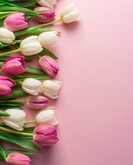 Fototapeta na wymiar White and pink tulips on lightpink background.