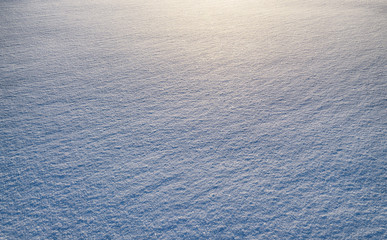 The texture of the snow in the light.