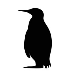 Naklejka premium Vector silhouette of penguin on white background.