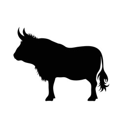 Vector silhouette of bull on white background.