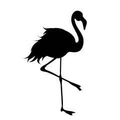 Vector silhouette of flamingo on white background.