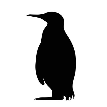 Vector silhouette of penguin on white background.