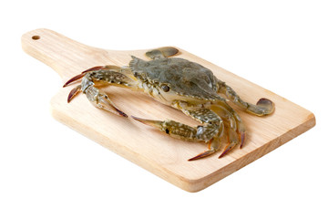 Flower crab, Blue crab, Blue swimmer crab (Portunus pelagicus) on wooden cutting board Isolated on...