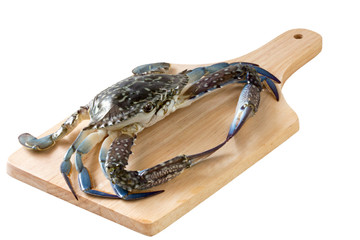 Flower crab, Blue crab, Blue swimmer crab (Portunus pelagicus) on wooden cutting board Isolated on...