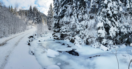 Beautiful winter landscape. Road between snowy firs at the foothills.