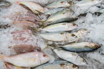 Fresh fish in market