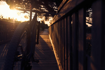 close-up of a mountain bike on a wooden bridge