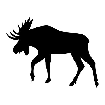 cartoon  moose ,vector illustration , black silhouette ,profile 