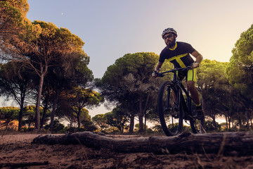 Fototapeta na wymiar cyclist riding his mountain bike through a forest