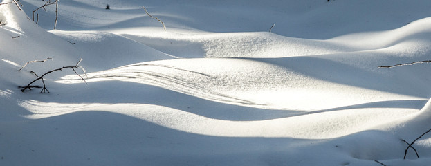 detail of snow in forest