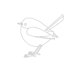 eastern bluebird  ,vector illustration ,lining draw ,profile 