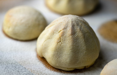 Maamoul (delicious traditional Middle Eastern cookie) stuffed with date palms