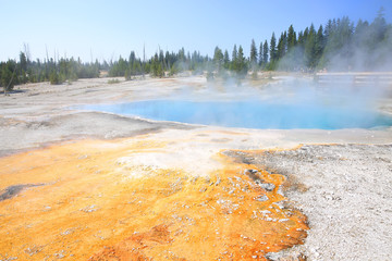 Yellowstone National Park in Wyoming and Montana, USA