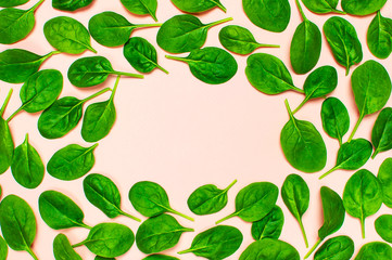 Frame of fresh green spinach leaves on pink background Flat lay top view. Creative food concept. Ingredient for salad. Vegetable pattern design. Healthy lifestyle.