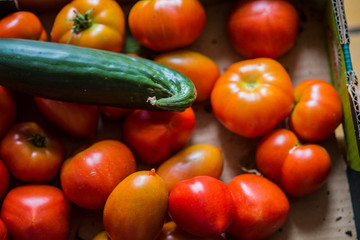 Rote frische Tomaten für deine Speise