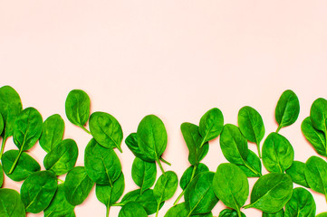 Fresh green spinach leaves on pink background Flat lay top view copy space. Creative food concept. Ingredient for salad. Vegetable design. Healthy lifestyle.
