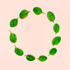 Naklejka premium Fresh green spinach leaves in the shape of circle on pink background Flat lay top view copy space. Creative food concept. Ingredient for salad. Vegetable design. Healthy lifestyle.