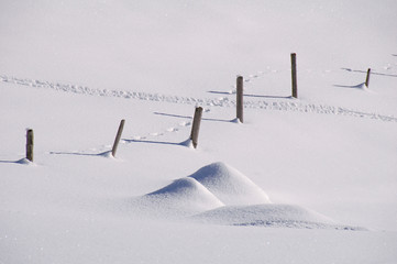 Spur im Schnee mit Holzpflöcken