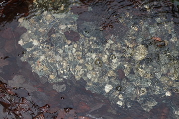 Hintergrund bunte Steine unter fließendem Wasser in einem Bach