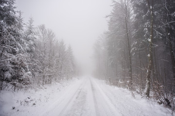 Weg in schöne eingeschneite Natur mit Baumästen