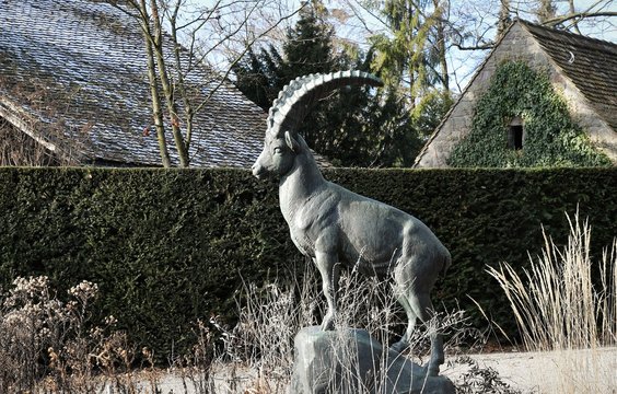 bouc