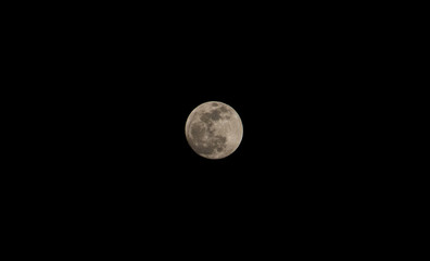 The full moon(super moon) in the night sky.