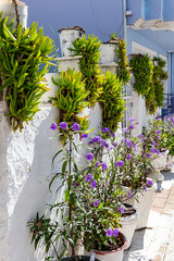 Beautiful flower and plants in the narrow streets of Zakynthos town, Greece
