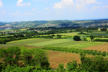 landscape with green field and blue sky