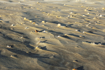 close up of beach sand texture washed by the water with natural sunset light