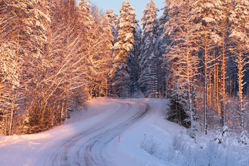 Snowy road winding through winter forest
