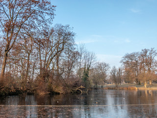 Lake in the park on a cold winter day
