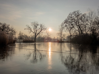 Lake in the park on a cold winter day