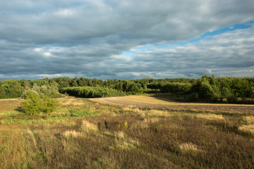 Obraz premium Wild meadow, green forest and dark rainy clouds