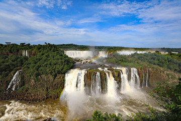 Fototapeta premium The amazing waterfalls of Iguazu Falls in Brazil and Argentina.