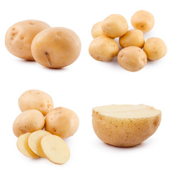 Collection of potato isolated on white background