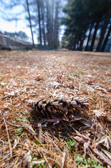 茨城牧場長野支場