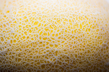 Melonen close up Textur