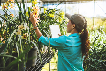 Asian woman travel relax orchid education write notes in the orchid garden,background orchid..