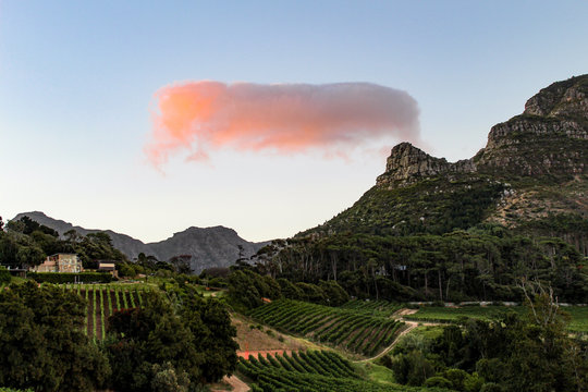 Curious cloud formation at sunset on Constantia Glen vineyard in the wine lands of Cape Town, South Africa