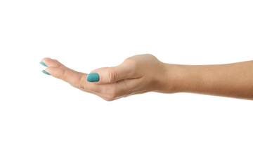 Female hand with beautiful manicure holding something on white background