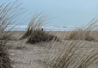 Door stickers North sea, Netherlands Grass covered sand dunes on the shores of the North Sea in the Netherlands. Taken near Noordwijk am Zee.