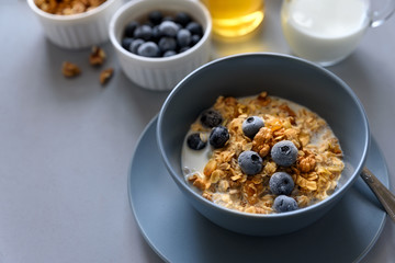 Granola bowl (oatmeal porridge) with blueberry, honey and milk on gray table. Flat lay. Selective focus. Healthy vegetarian food