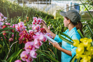 The girl notes the changes, orchid growth in the garden. Beautiful (Orchid) background in nature